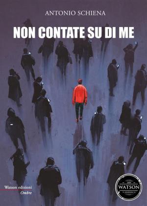 Cover of the book Non contate su di me by Terence O'Grady