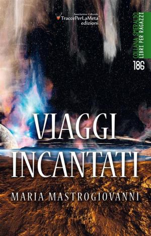 Cover of the book Viaggi incantati by Jeff Shanley