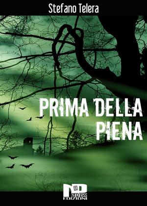 Cover of the book Prima della piena by Christian Sartirana