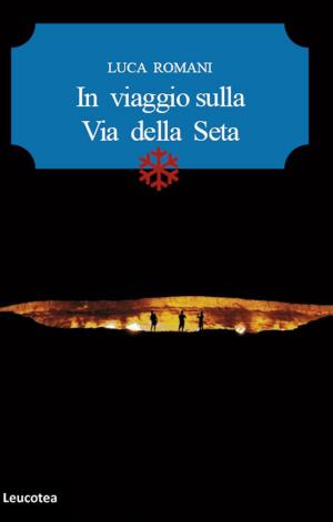 Cover of the book In viaggio sulla via della seta by Patrizia Petruccione