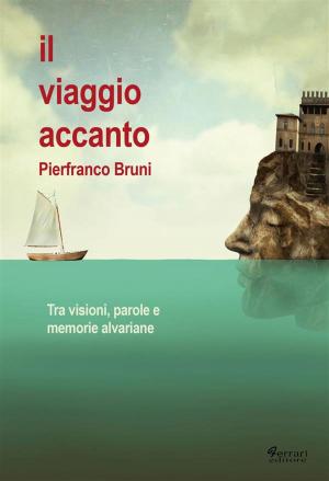 Book cover of Il viaggio accanto