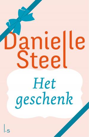 Cover of the book Het geschenk by Trudi Canavan