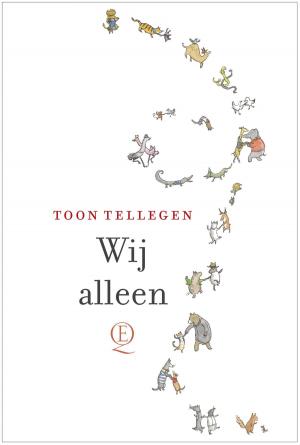 Cover of the book Wij alleen by Theun de Vries