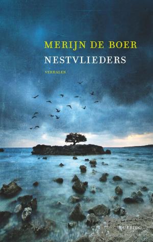 Cover of the book Nestvlieders by Atte Jongstra