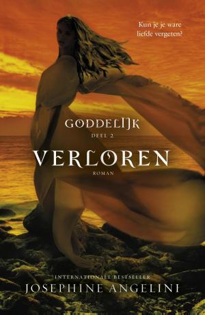 Cover of the book Verloren by Terry Goodkind