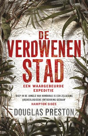 Cover of the book De verdwenen stad by Dean R. Koontz