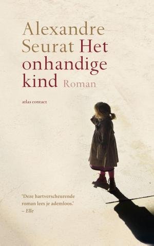 Cover of the book Het onhandige kind by Nico Dijkshoorn
