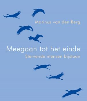 Cover of the book Meegaan tot het einde by Johan van Dorsten
