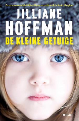 Cover of the book De kleine getuige by Jolanda Dijkmeijer