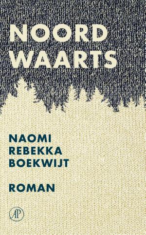 Cover of the book Noordwaarts by Daan Remmerts De Vries