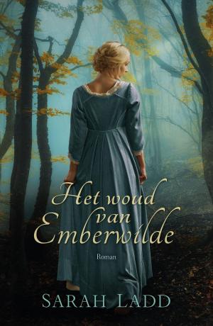Cover of the book Het woud van Emberwilde by Henny Thijssing-Boer