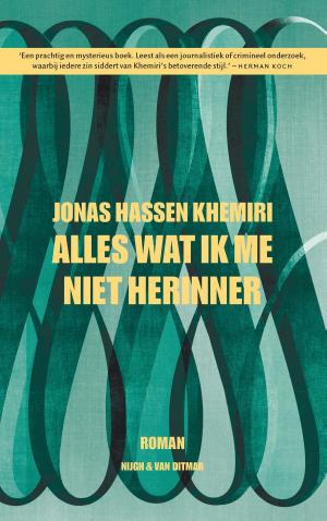 Cover of the book Alles wat ik me niet herinner by Malin Persson Giolito