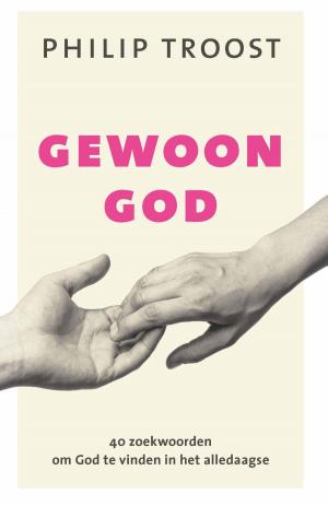 Cover of the book Gewoon God by Bram Moerland