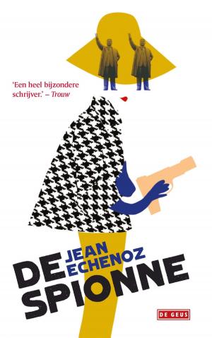 Cover of the book De spionne by Marie NDiaye