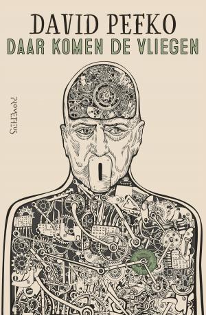 Cover of the book Daar komen de vliegen by Pieter Jouke