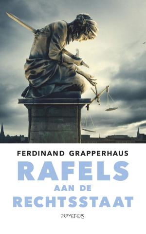 Cover of the book Rafels aan de rechtsstaat by Ali Smith