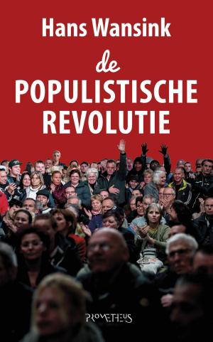 Cover of the book Populistische revolutie by Ane Riel