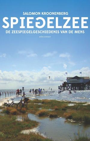 Cover of the book Spiegelzee by Marc van Eck, Ellen Leenhouts