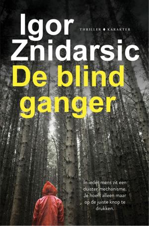 Cover of the book De blindganger by Robert Fabbri