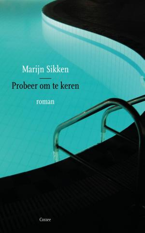 Cover of the book Probeer om te keren by David Grossman
