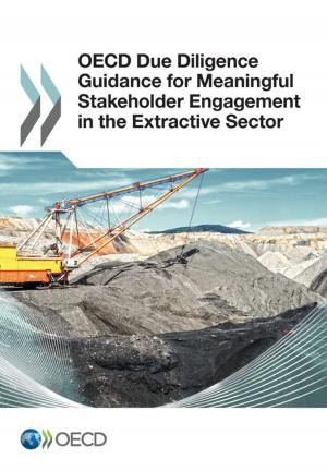 Cover of the book OECD Due Diligence Guidance for Meaningful Stakeholder Engagement in the Extractive Sector by Collectif