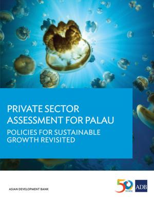 Cover of the book Private Sector Assessment for Palau by Michael G. Plummer, David Cheong, Shintaro Hamanaka