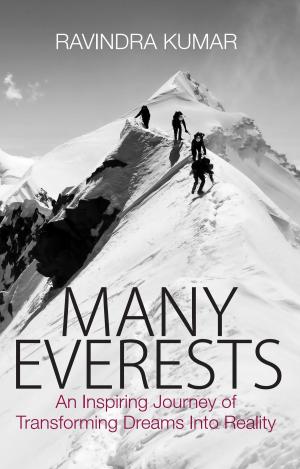 Cover of the book Many Everests by Daniel Hecht