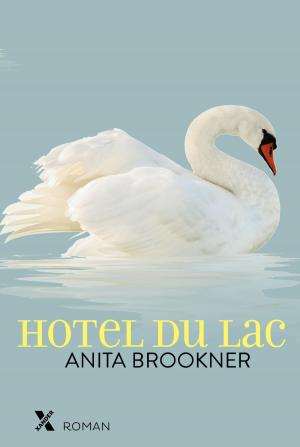 Book cover of Hotel du lac