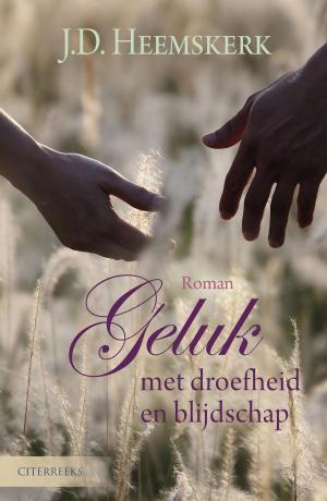 Cover of the book Geluk met droefheid en blijdschap by Jelle Hermus