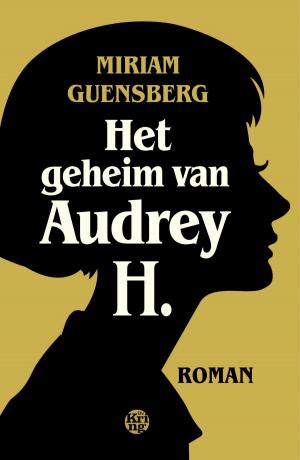 Cover of the book Het geheim van Audrey H. by Joop van Riessen