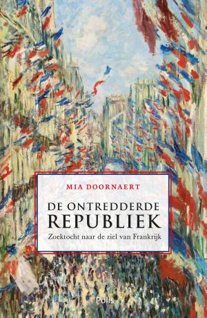 Cover of De ontredderde republiek