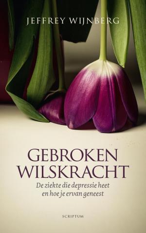 Cover of the book Gebroken wilskracht by Mark van der Werf