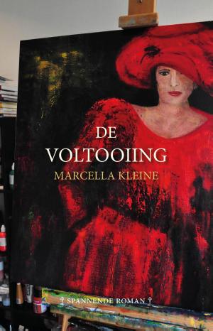 Book cover of De Voltooiing
