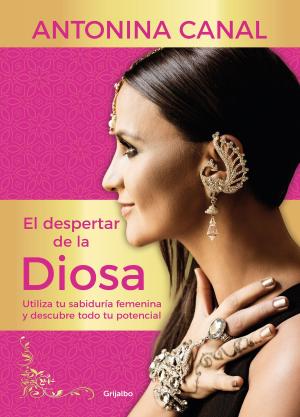 Cover of the book El despertar de la diosa by Jaime Jaramillo