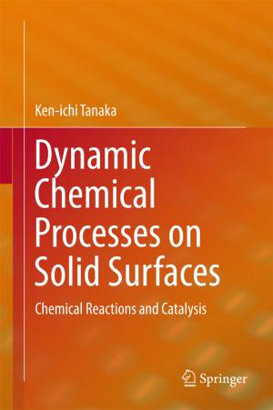 Cover of the book Dynamic Chemical Processes on Solid Surfaces by Tomasz Sadowski, Przemysław Golewski