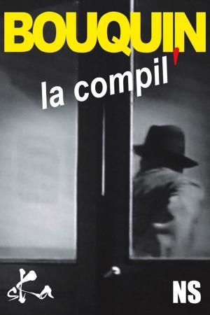 Cover of the book BOUQUIN, la compil by Gaëtan Brixtel