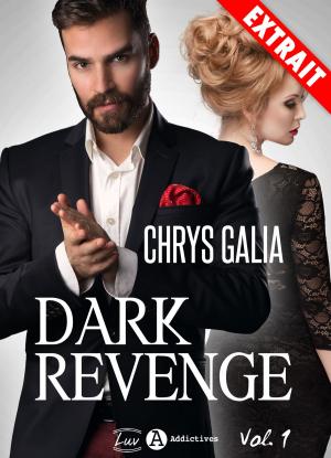 Book cover of Dark Revenge - extrait