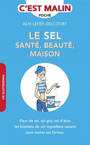 Cover of the book Le sel santé, beauté, maison, c'est malin by Carole Garnier