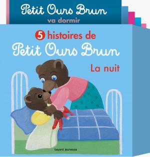 Cover of the book 5 histoires de Petit Ours Brun, la nuit by Marie-Aude Murail, François Maumont