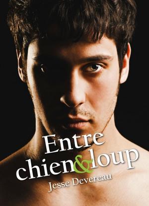 Cover of the book Entre chien et loup by AbiGaël
