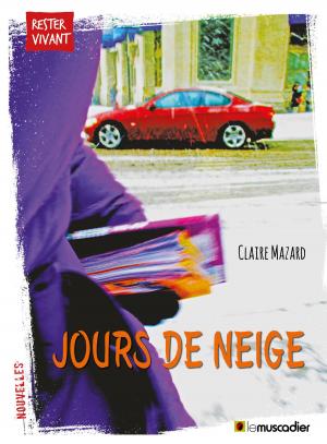 Cover of the book Jours de neige by Stéphane Dalle, Éric Renard