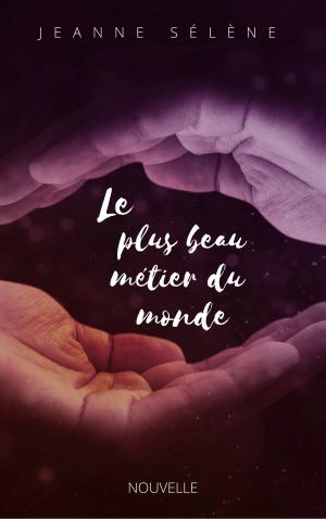 Cover of the book LE PLUS BEAU MÉTIER DU MONDE by Stéphane ROUGEOT