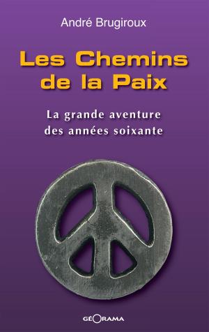 Cover of the book Les Chemins de la Paix by CN Stoesen