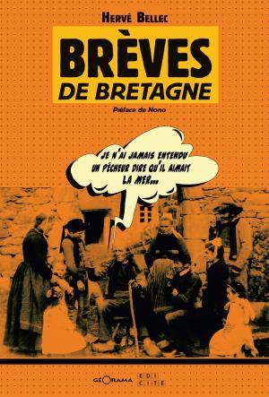 Book cover of Brèves de Bretagne