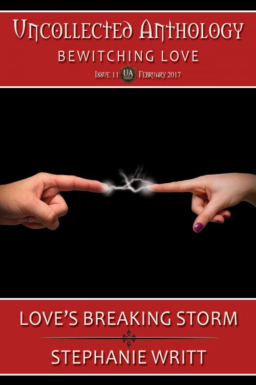 Cover of the book Love's Breaking Storm by Stephanie Writt, Wayne Press