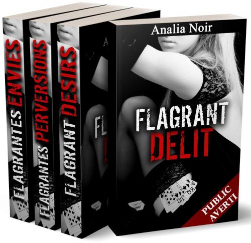 Cover of the book Flagrant Délit: L'INTEGRALE by Analia Noir, Analia Noir