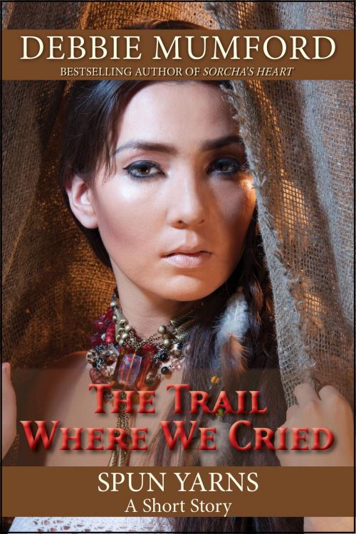 Cover of the book The Trail Where We Cried by Debbie Mumford, WDM Publishing