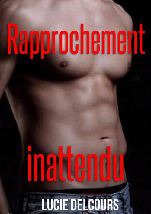 Cover of the book Rapprochement inattendu by Lucie Delcours, LD Edition