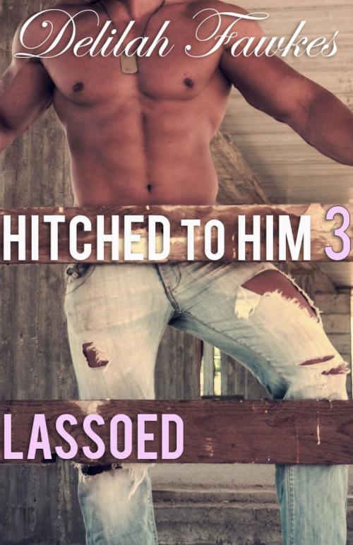 Cover of the book Hitched to Him, Part 3: Lassoed by Delilah Fawkes, Delilah Fawkes