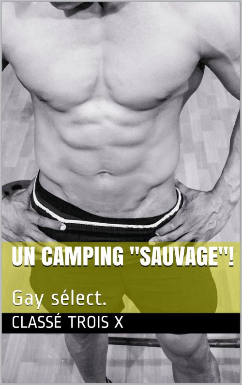 Cover of the book Un camping sauvage! by Kevin troisx, classé trois x